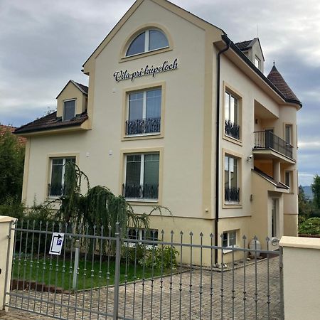 Vila Pri Kupeloch Bojnice Exterior photo